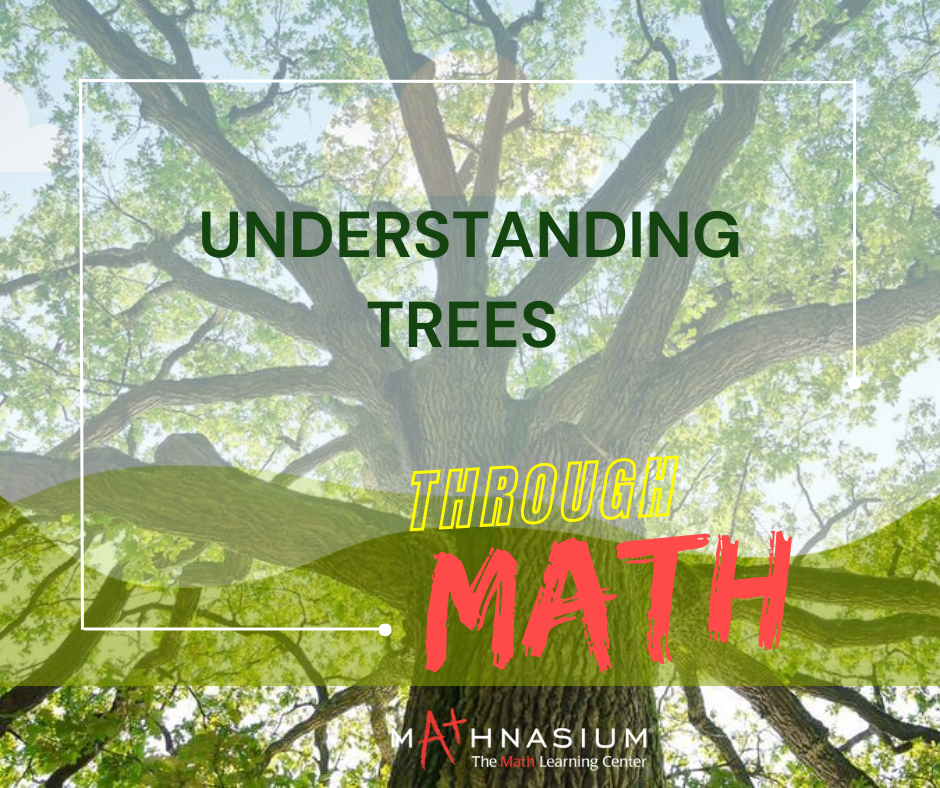 Understanding Trees Through Math