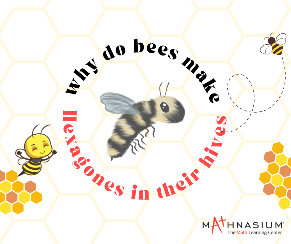 Bees, The Math-Savvy Insect