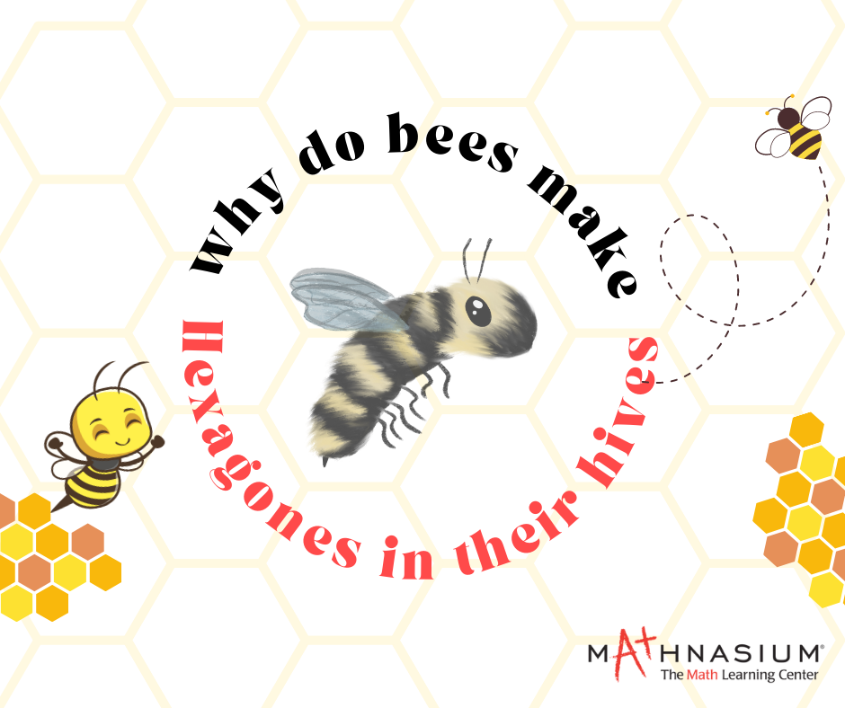 How Bees Make Honey Step-by-Step Process - Kids Facts