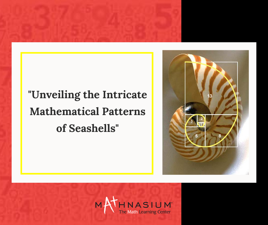 Unraveling the Mystique of Seashells: A Fascinating World of Mathematical  Patterns