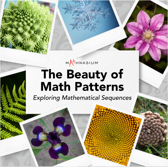 The Beauty of Math Patterns: Exploring Mathematical Sequences ...